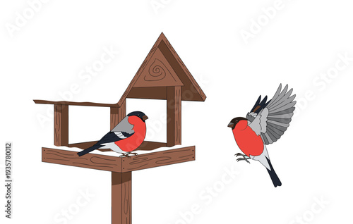 Bullfinch birds at wooden bird feeder flying and sitting garden bird vector illustration