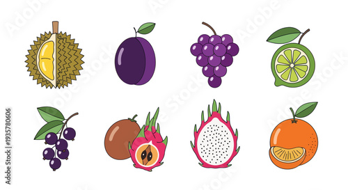Colorful fruit illustration collection