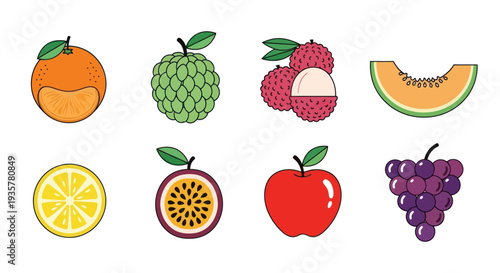 Colorful fruits isolated vector illustrations