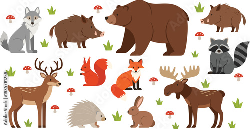 Forest wild animals collection set with bear fox deer raccoon boar rabbit squirrel vector illustration