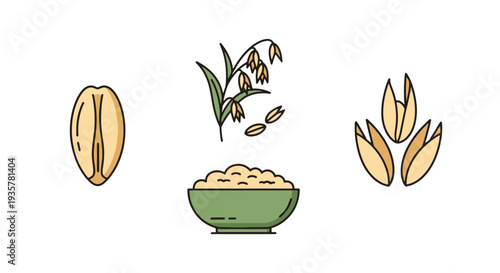 Oats Line art vector set modern abstract