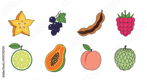 Colorful vector illustration of various fruits