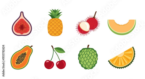 Colorful vector illustrations of tropical fruits