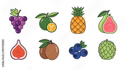 Colorful vector illustrations of various fruits