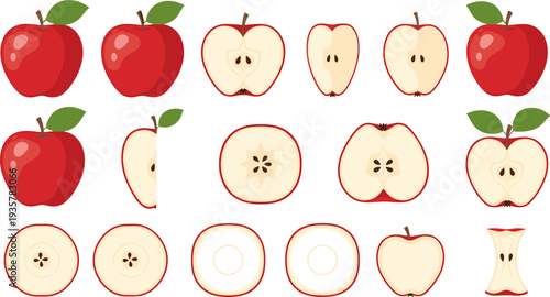 Apple Icon Set Featuring Whole Apples, Apple Halves, Cross Sections, Slices and Apple Core for Fresh Fruit Design and Healthy Food Illustration