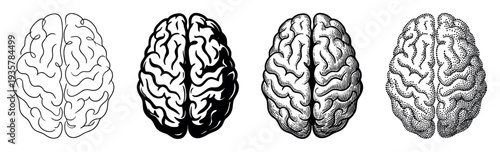 Set of four human brain illustrations in various artistic styles including line art, silhouette, vintage engraving, and pointillism, shown in a top-down anatomical view