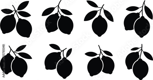 Lemon pair silhouette collection, citrus fruit illustration, botanical branch artwork, organic plant design, black foliage graphic, decorative nature 