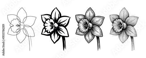 Set of four black daffodil flower illustrations in various artistic styles including continuous line drawing, bold stencil, vintage engraving, and detailed stippling