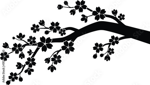 Cherry blossom tree branch silhouette with blooming sakura flowers and buds, elegant Japanese spring floral design isolated vector illustration