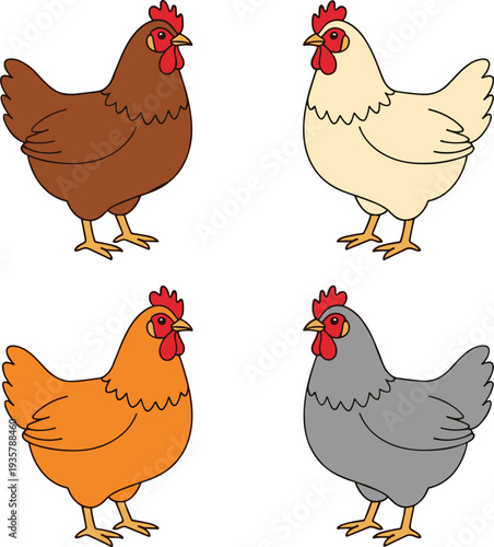 Domestic chicken hens different colors farm poultry vector illustration set