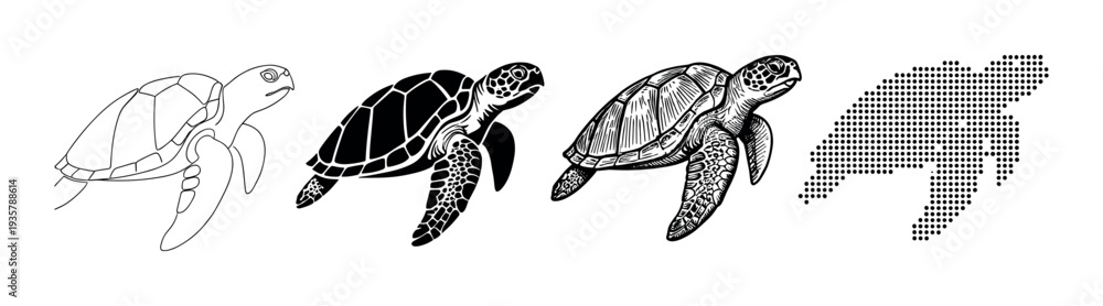 Fototapeta premium Set of four black sea turtle illustrations showing a progression of graphic styles from simple outline and silhouette to detailed engraving and a final dotted pattern