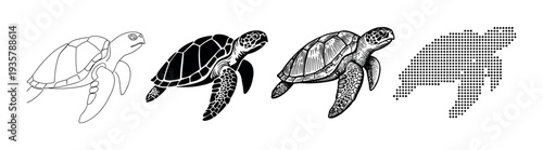 Set of four black sea turtle illustrations showing a progression of graphic styles from simple outline and silhouette to detailed engraving and a final dotted pattern
