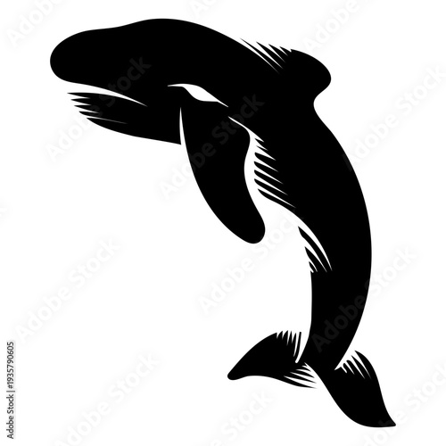 Dolphin detailed tattoo silhouette