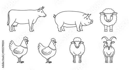 Farm Animals Line Drawings.