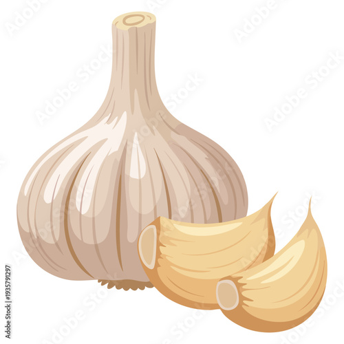 Fresh whole garlic vegetable and garlic cloves isolated on white background realistic food ingredient design for cooking recipe nutrition and healthy lifestyle themes