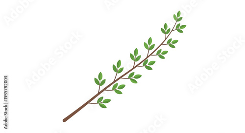 Green Leafy Branch Illustration.