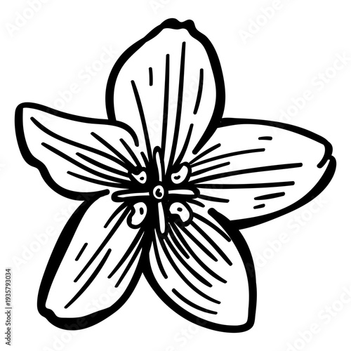 Petal flower stroke