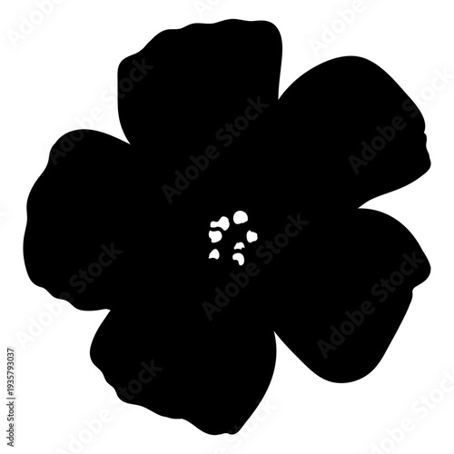 Petal gynoecium flower stroke