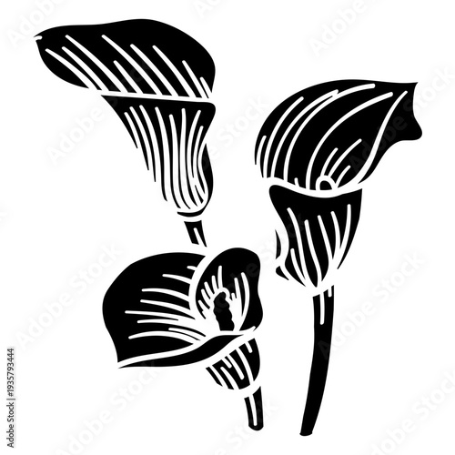 Stem stalk petal flower detailed silhouette