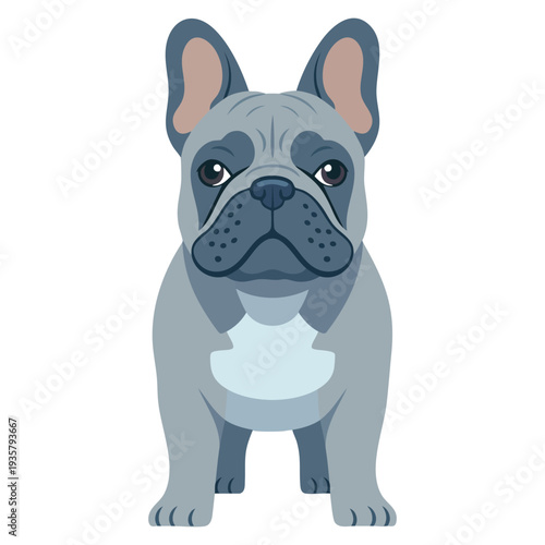 Gray french bulldog standing on four legs in cartoon illustration style, perfect for pet branding, dog lover merchandise and cute animal visuals