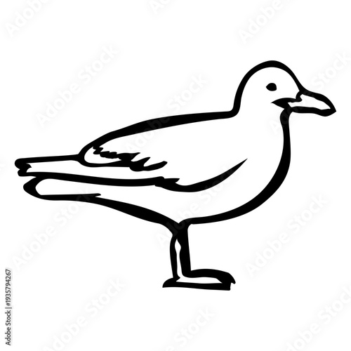 Seagull animal stroke seagull