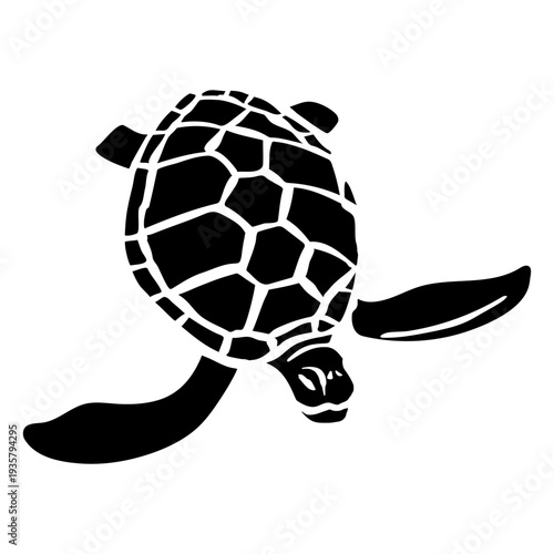 Silhouette animal turtle