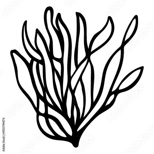 Stroke seaweed bush