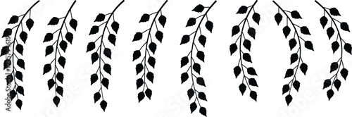 Hanging birch branches silhouette set with detailed leaves black botanical vector illustration isolated on white background for nature design and decorative elements