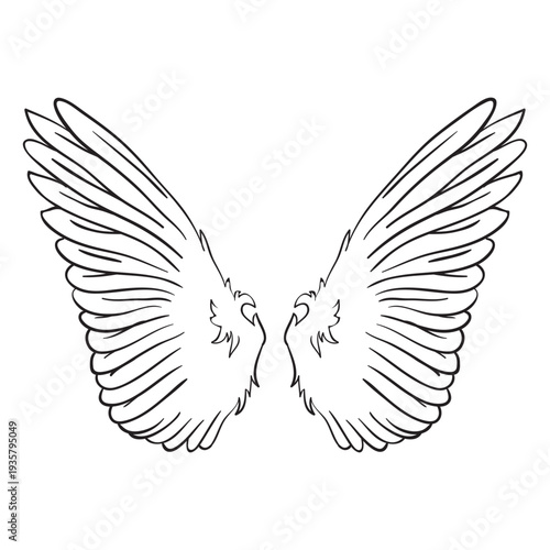 Bird angel wings outline
