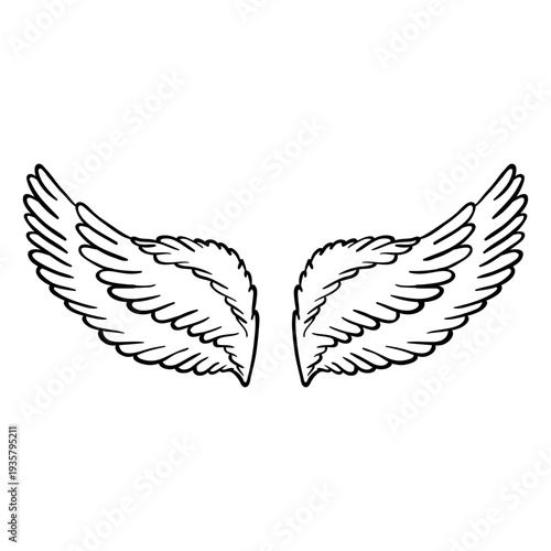 Soft angel wings outline