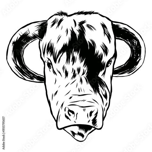 Cow head stroke animal