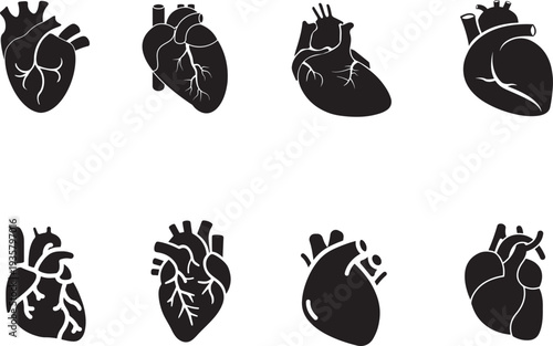  Anatomical human heart icon collection, detailed medical vector illustration