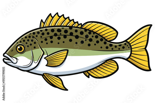 A colorful cartoon illustration of a brown trout fish with yellow fins and black spots.