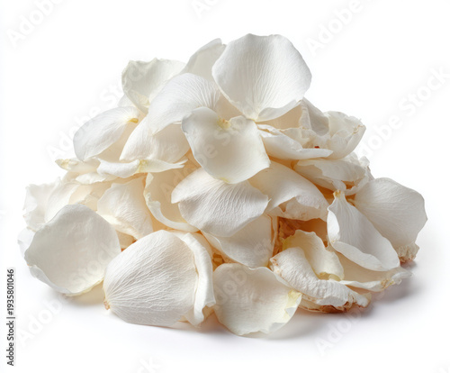 white rose petals isolated ...