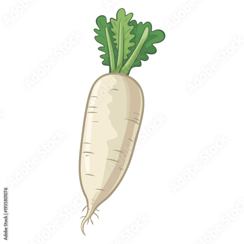 Illustration of radish with vegetable leaves fresh organic produce concept ideal for healthy food farming gardening and nutrition themed designs