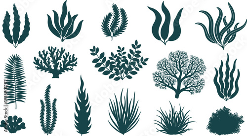 Seaweed and underwater plants collection, marine algae silhouettes set with coral reef sea plants aquatic botanical elements flat vector illustration