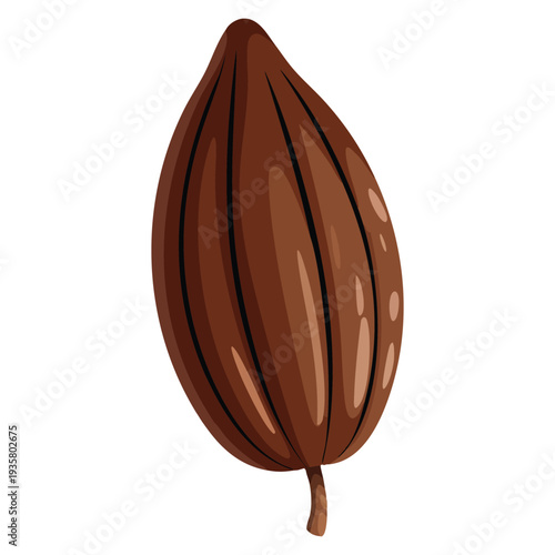 Isolated cacao pod vector illustration ideal for chocolate ingredient concept tropical farming organic branding and natural botanical themed artwork