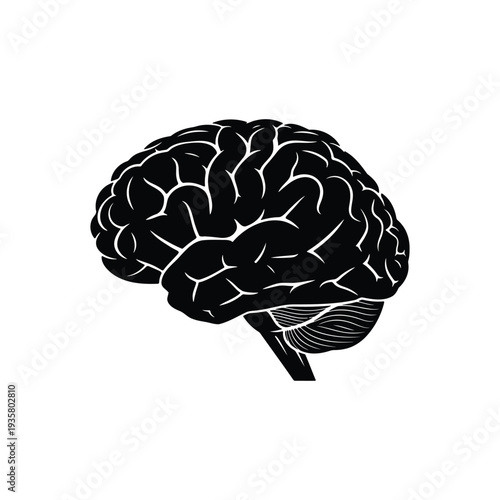 Human brain medical vector illustration isolated on white background