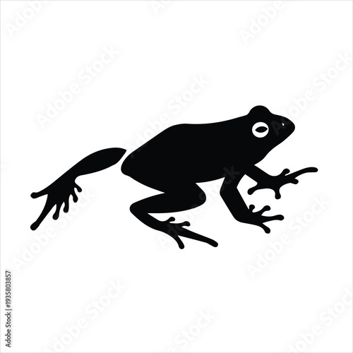 Frog Amphibian Animal Icon
