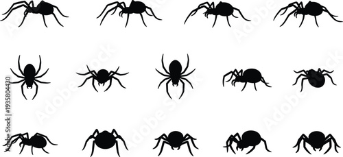 Spider silhouette collection vector set, black spider icons isolated, different arachnid shapes for halloween design, insect clipart illustration