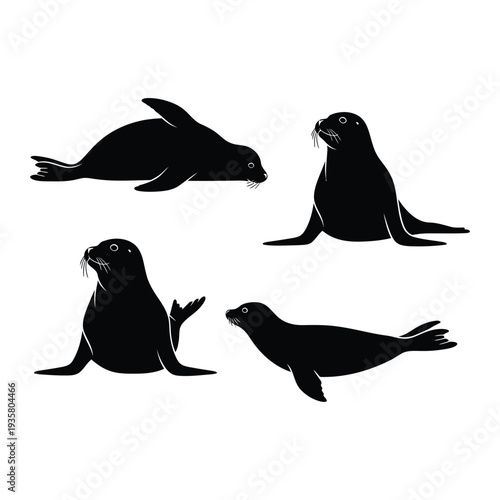 Silhouettes of seals and penguins on white background