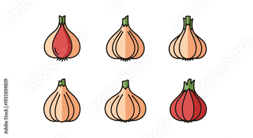 Garlic Line art vector set abstract color composition illustration