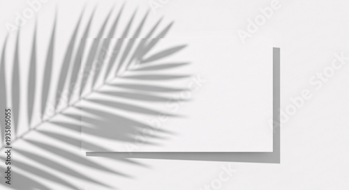 Elegant White Card Mockup with Tropical Leaf Shadow on White Background for Minimalist Design