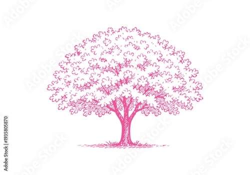 Cherry Blossom Sakura Hand Drawn Illustration Vector by AZ for Books, Arts, Design and Decoration Graphic Asset