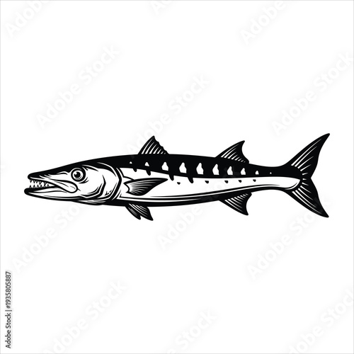 Barracuda vector black icon isolated on white background flat design