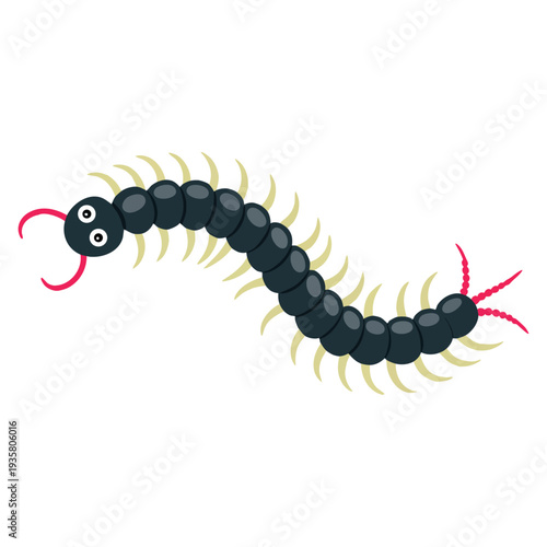 Illustration of living insect centipede detailed creature design suitable for nature wildlife biology and educational themed artwork