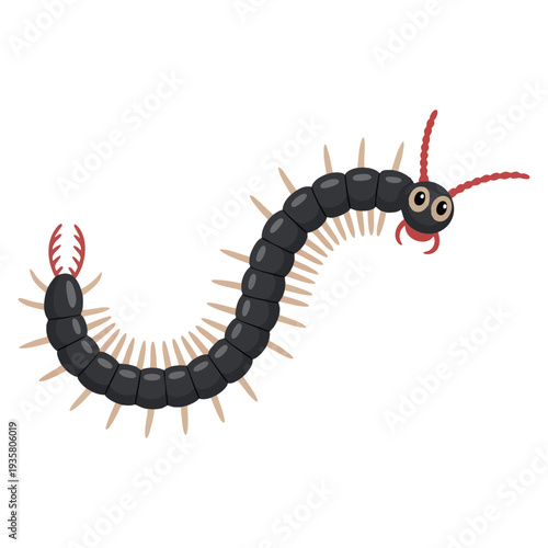 Living insect centipede illustration ideal for nature study wildlife biology and realistic creature themed design projects