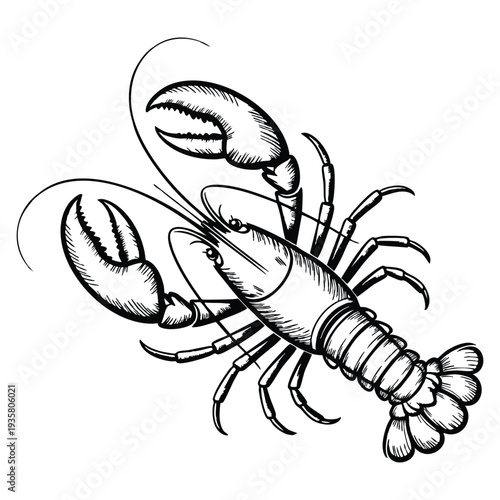 Lobster ink sketch in retro style isolated on white background detailed hand drawn vector illustration for seafood themes