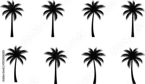 Palm tree silhouette set with tropical coconut palms in different shapes black vector illustration isolated on white background for summer beach design