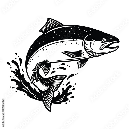 Jumping salmon fish in water splash black and white vector